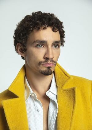 Robert Sheehan